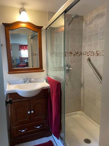 a bathroom with a sink and a shower at The Hideaway in Brewster