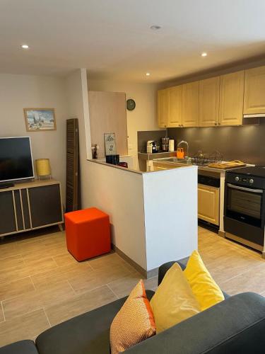 un salon avec un canapé et une cuisine dans l'établissement Appartement de plain-pied avec jardin, à Avignon