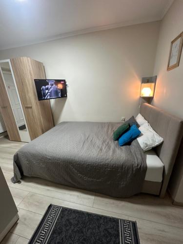 a bedroom with a bed and a flat screen tv at Sobe Tanja in Subotica