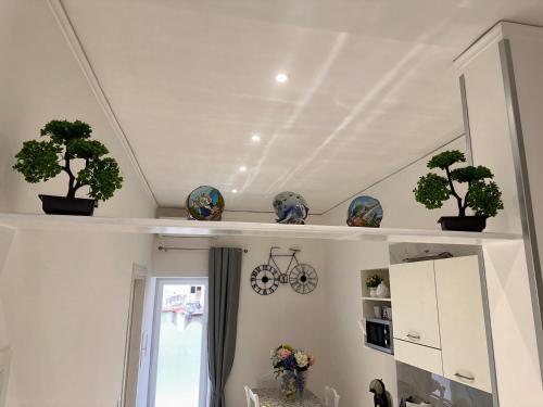 Eleven Home