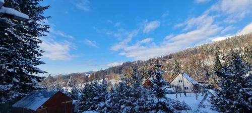 a snow covered forest with houses and trees at Penzion na Lůkách in Horní Bečva