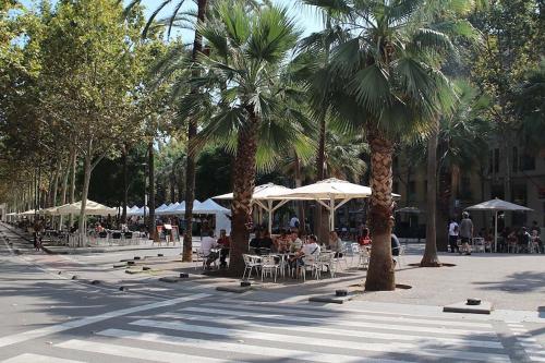 Bcn-rentals apartments in the Old town