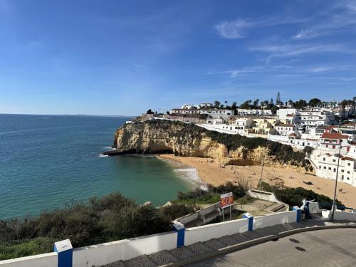 Ocean & Beach View