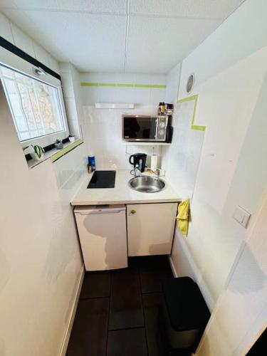 une petite cuisine avec un évier et un micro-ondes dans l'établissement Appartement cosy Toulouse, à Toulouse