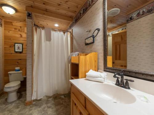 un bagno con lavandino, water e specchio di BEST VIEWS LAKE FRONT Waters Edge a Dandridge