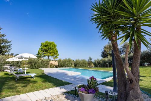 a swimming pool with a palm tree next to it at Casal La Ponderosa in SantʼElpidio a Mare