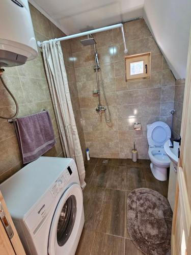 a bathroom with a washer and a toilet and a shower at Wilderness Cabin in Kolašin