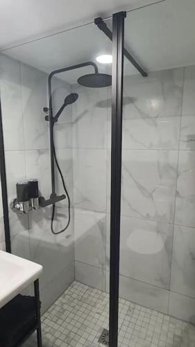 une douche avec une porte vitrée dans une salle de bain dans l'établissement Charmant nid au cœur de Paris, à Paris