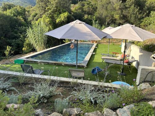- une piscine avec 2 parasols et des chaises dans l'établissement Villa Paradisiaque en Corse, à Calcatoggio
