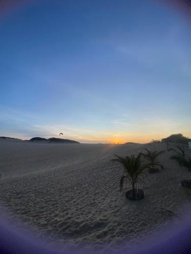 a palm tree in the middle of the desert at Portal do Sol in Canoa Quebrada