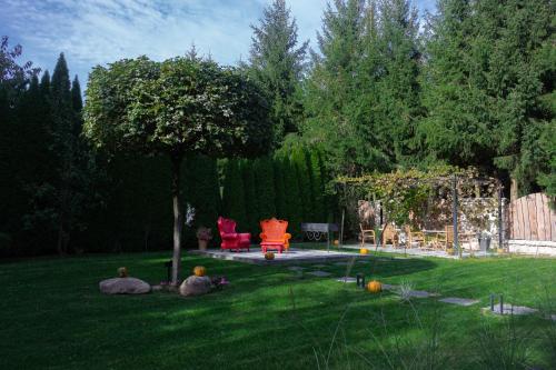 a yard with a tree and chairs in the grass at Lipowa32 Apartamenty in Hrubieszów