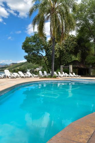 a swimming pool with chairs and a palm tree at Hotel Del Dique in Coronel Moldes