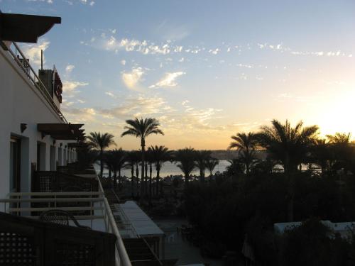 a view from the balcony of a resort with palm trees at Oonas Dive Club in Sharm El Sheikh