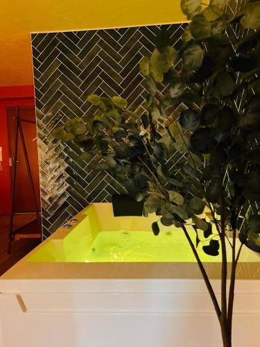 a vase with a plant in front of a wall at La Suite Marrakech, Balneo et Parking in Obernai