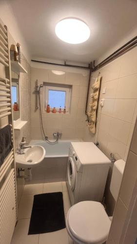 a small bathroom with a toilet and a sink at Panoráma Vendégház Dunabogdány in Dunabogdány