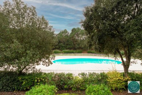 - une vue sur la piscine bordée d'arbres dans l'établissement Les Pins dorés le petit nid douillet et cosy, à Soustons