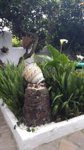a vase sitting on top of a wall with plants at Aquilone Residence in Stromboli