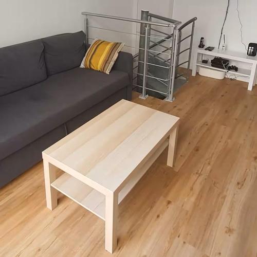 un salon avec un canapé et une table basse dans l'établissement Charm in Heart of Paris Vaugirard, à Paris