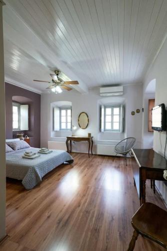 a bedroom with a bed and a ceiling fan at Erika's home in Leonidio
