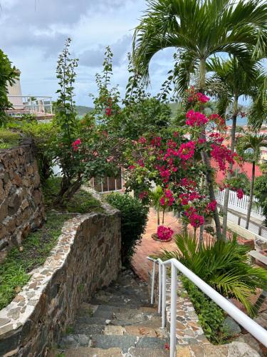 a set of stairs with pink flowers and palm trees at The Mary Anne Boutique Hotel USVI in Charlotte Amalie