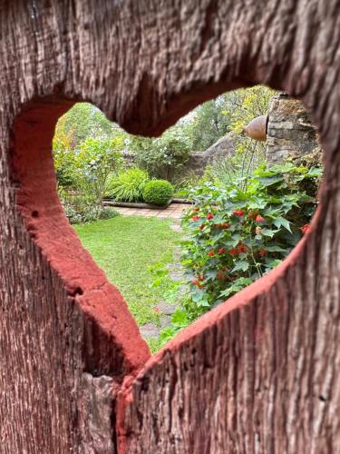 Un jardín fuera de Logis Saint-Flaceau
