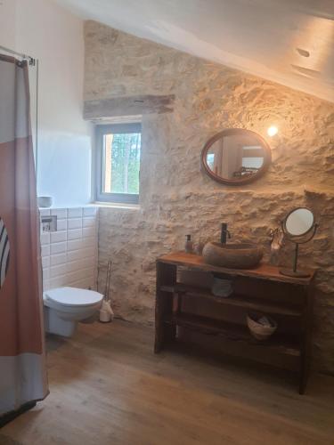 a bathroom with a sink and a toilet and a mirror at La maison d'ô in Frayssinet-le-Gélat