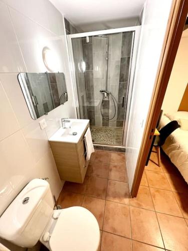 une salle de bain avec toilettes, douche et lavabo dans l'établissement Les chambres de la bastide - 201, à Carcassonne