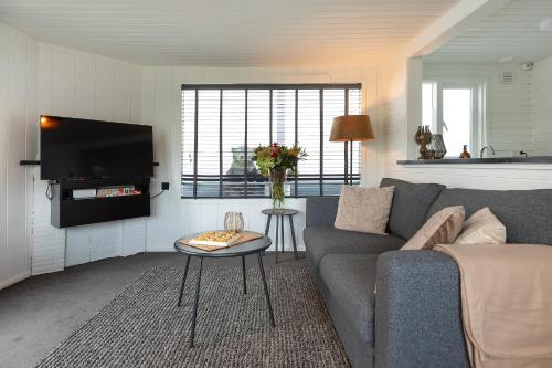 a living room with a couch and a tv at Woonboot De Rietpieper in Loosdrecht
