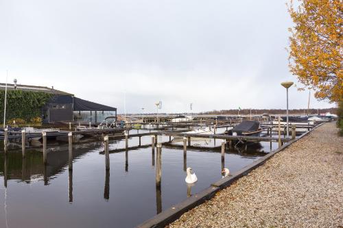 two swans are sitting in the water at a marina at Woonboot De Rietpieper in Loosdrecht