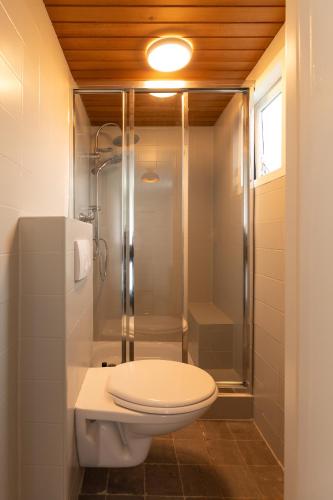 a bathroom with a toilet and a glass shower at Woonboot De Rietpieper in Loosdrecht