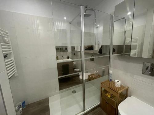 Appartement proche centre Colmar parking public gratuit