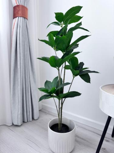 Φωτογραφία από το άλμπουμ του Apartament Serene στο Μπακάου