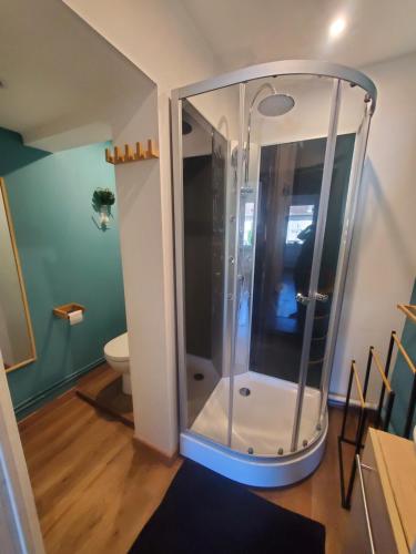 une douche dans une salle de bain avec toilettes dans l'établissement Appartement lumineux en centre-ville, à Neuves-Maisons
