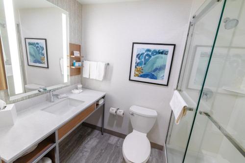 a bathroom with a toilet and a sink and a shower at Hilton Garden Inn Lakewood in Lakewood