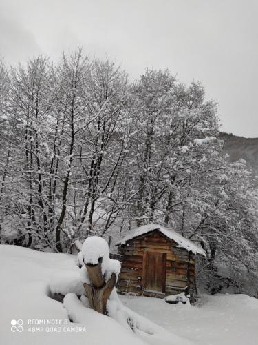 a bear statue sitting in the snow next to a cabin at Gujejiani Guest house in Mestia