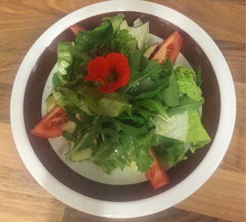 a bowl of salad with a red flower in it at Landgasthof Lenzer in Strassen