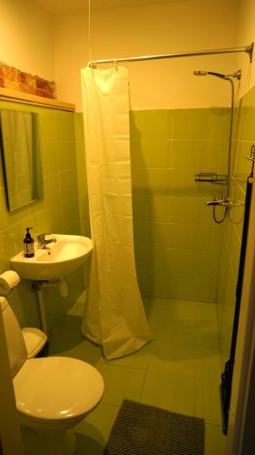 a bathroom with a toilet and a sink and a shower at Mazā Kāpa in Koknese