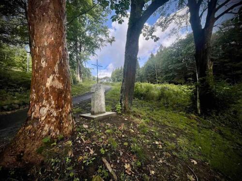a grave in the middle of a road between two trees at Vila 100klasa in Nejdek