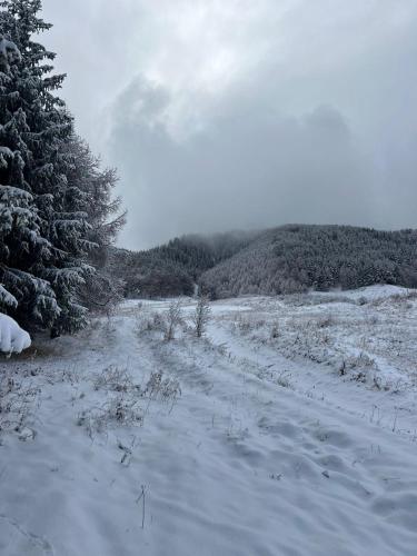 a snow covered field with a tree in the distance at Ethno complex Ala kuch in Kaindy