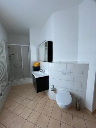 a white bathroom with a toilet and a sink at Apartment mit Balkon & Parkplatz in Meißen