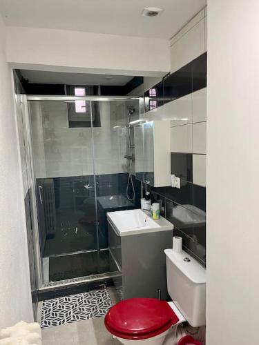 une salle de bain avec des toilettes rouges et un lavabo dans l'établissement appartement Riorges 35 m2 1 chambre, à Riorges
