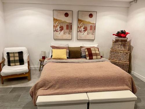 a bedroom with a large bed and a white chair at appartement Riorges 35 m2 1 chambre in Riorges