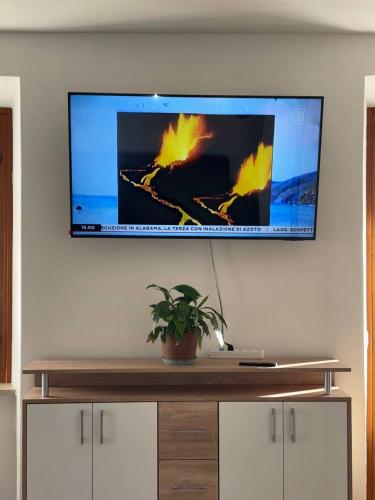 a flat screen tv on a wall with a plant at Appartamento Bosco al Sole in San Lorenzo in Banale