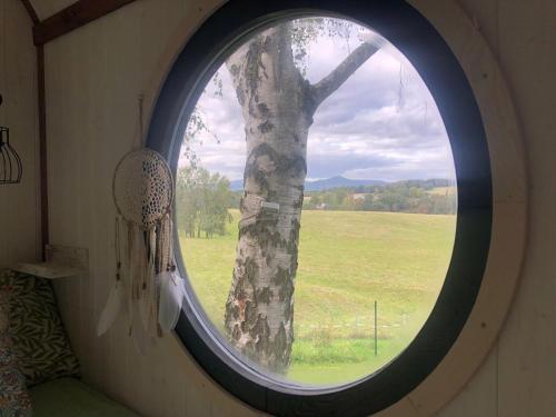 a round window in a room with a tree at Domeček pohoda maringotka Máňa in Liberec
