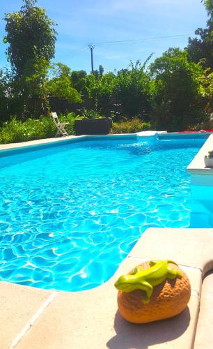 a swimming pool with a donut sitting next to it at Villa du bonheur in Goyave