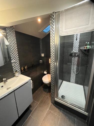 une salle de bain avec une douche, un lavabo et des toilettes dans l'établissement Duplex à la frontière de Monaco, à Beausoleil
