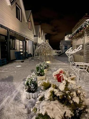 a group of flowers in a courtyard with snow at Tu Urlop in Mielno