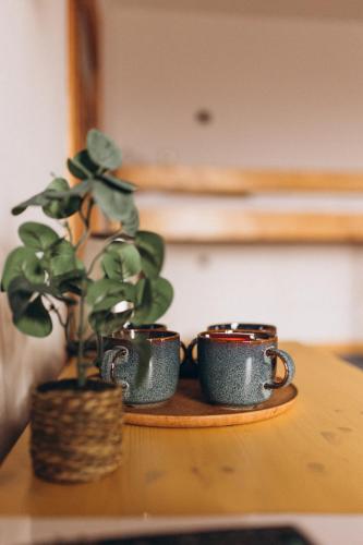 two coffee cups and a potted plant on a table at Villa Hubertus in Srebrna Góra