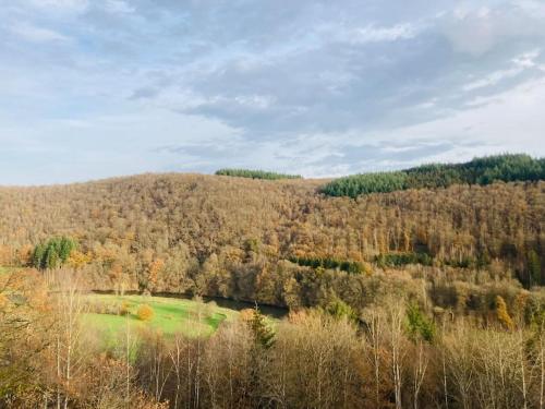 Příroda nedaleko apartmánu