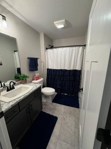 a bathroom with a sink and a toilet and a shower at Beck Lake House in Kelleys Island
